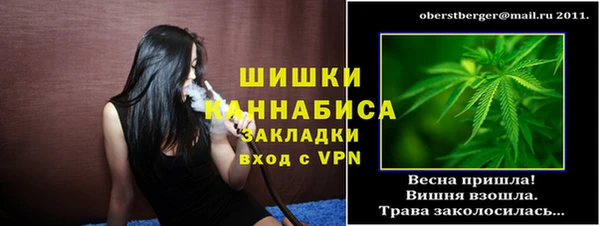 PSILOCYBIN Балахна